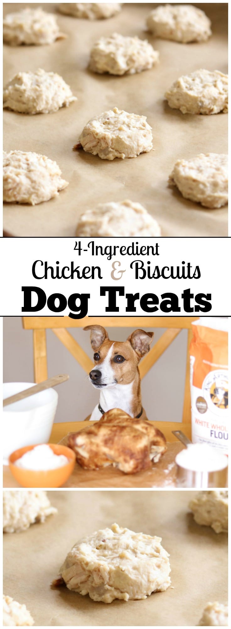 4 Ingredient Chicken And Biscuits Homemade Dog Treats Two Healthy