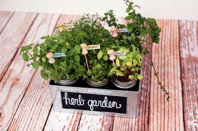 THK DIY Herb Garden2