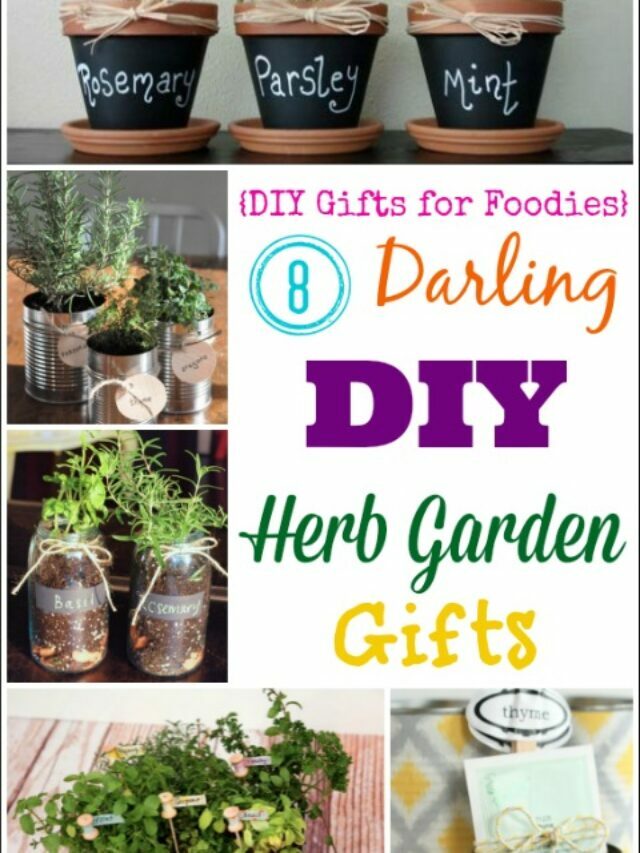 8 Darling DIY Herb Garden Gifts Story