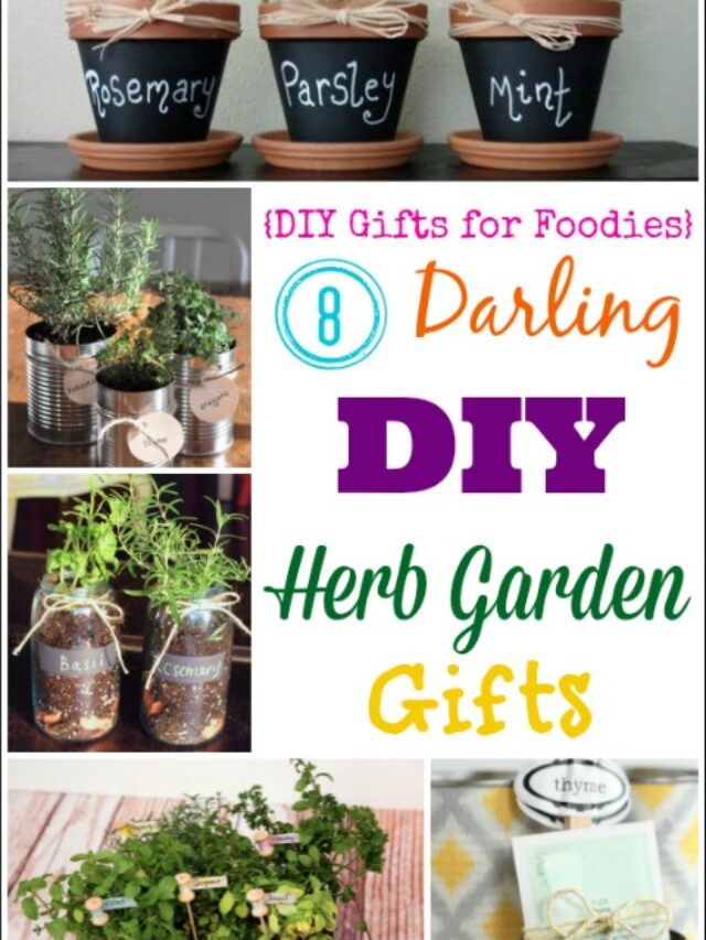 Darling Diy Herb Garden Gifts Story Two Healthy Kitchens