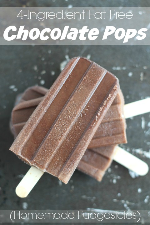 4-Ingredient Fat Free Chocolate Pops Recipe (Easy Homemade Fudgesicles) {www.TwoHealthyKitchens.com}