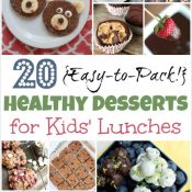 20 Easy-to-Pack, Healthy Desserts for Kids' Lunches
