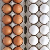 7 EGG-citing Egg Facts Every Home Cook Oughta Know