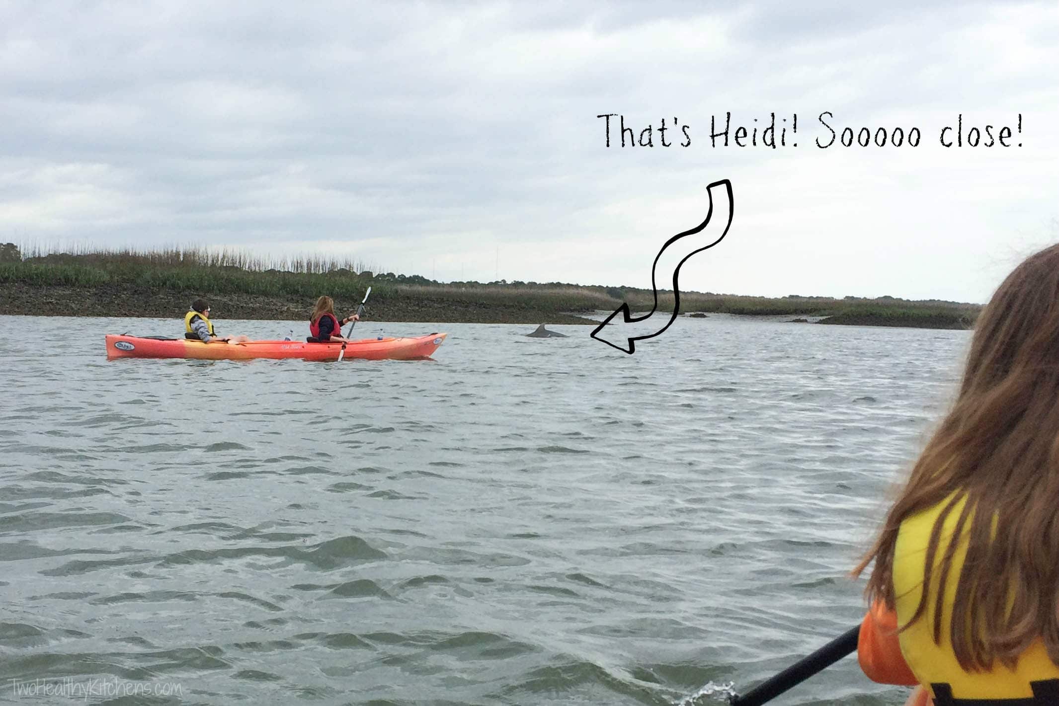 Kayaks in river with dolphin fin and text overlay with arrow "That's Heidi! Sooooo close!".