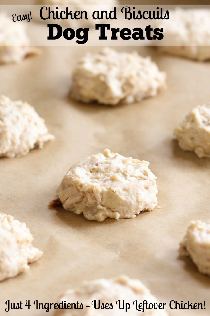Perfect for using up leftover chicken! These easy Homemade Dog Treats are the doggy version of that classic comfort food, chicken and biscuits! Just store your leftover chicken in the freezer until you’re ready to make these healthy dog treats. And there’s no need to fuss with cookie cutters – these easy drop biscuits are so much faster! With just 4 ingredients, this dog treat recipe is ultra quick and easy, and these store beautifully in the freezer for weeks! | www.TwoHealthyKitchens.com