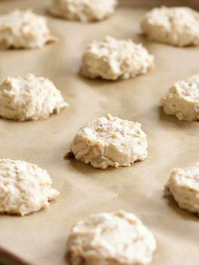 4-Ingredient Chicken and Biscuits Homemade Dog Treats Story