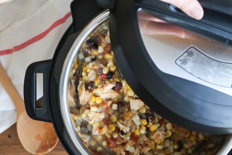What Can You Do with an Instant Pot? Two Healthy Kitchens