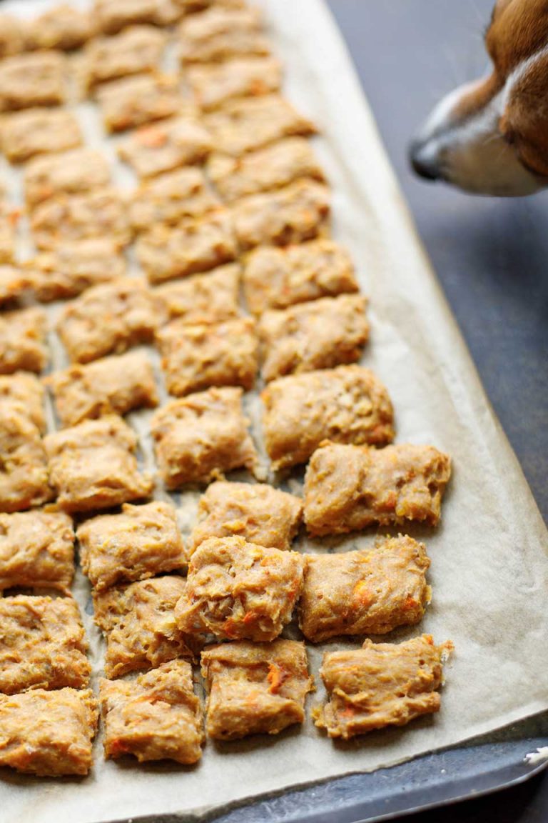 Sweet Potato and Leftover Turkey Homemade Dog Treats Two Healthy Kitchens