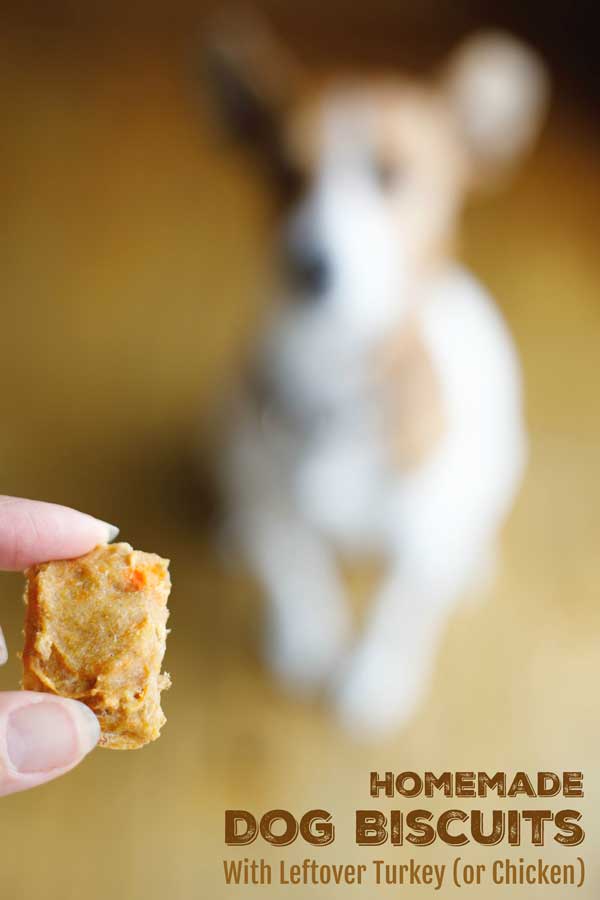 Just 4 simple ingredients (including leftover Thanksgiving turkey, or leftover chicken)! These easy Homemade Dog Treats are the perfect way to use up those leftovers – and they even feature a little pup-pleasing sweetness from sweet potatoes. Picky-dog approved! Even better, though? They freeze beautifully, and make darling DIY holiday gifts for all the special pups in your life! | diy Christmas gifts | diy gifts | dogs | dog gifts | dog treats homemade | dog biscuit | www.TwoHealthyKitchens.com