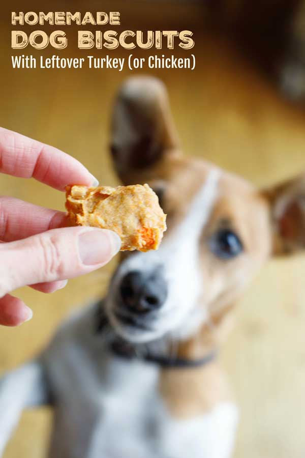Got leftover chicken or Thanksgiving turkey you'd like to use up? Well, then you've definitely got a happy puppy! Our super-easy Homemade Dog Treats recipe features just 4 simple ingredients. Picky-dog approved, too. And, they freeze great, so it’s easy to stock up. BONUS: they also make darling DIY holiday gifts for all the special dogs in your life! | diy Christmas gifts | diy gifts | dogs | dog gifts | dog treats homemade | dog biscuit | #DIY #gift #dogs | www.TwoHealthyKitchens.com