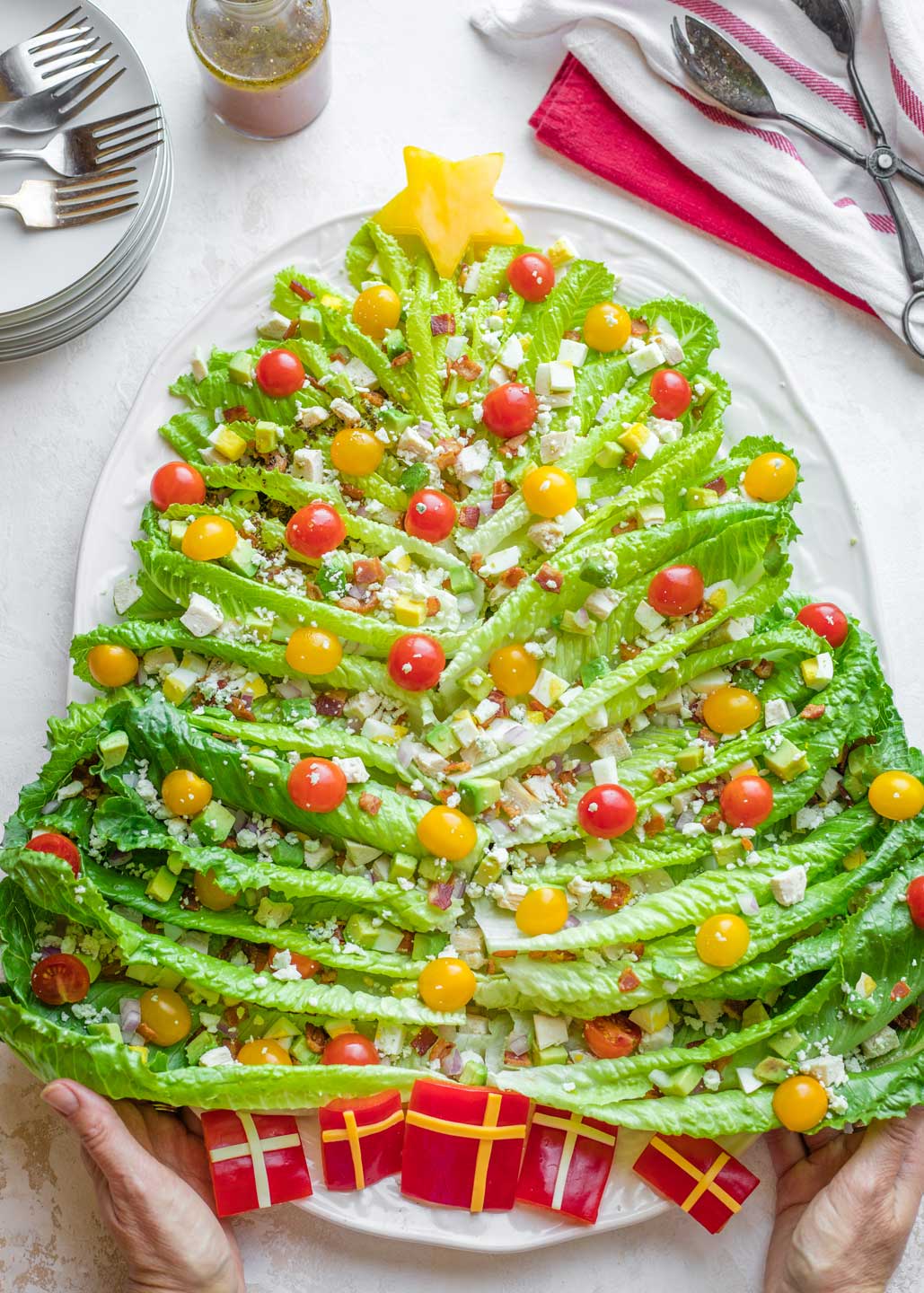 Two hands presenting the platter of Holiday Salad like a pretty centerpiece for the table