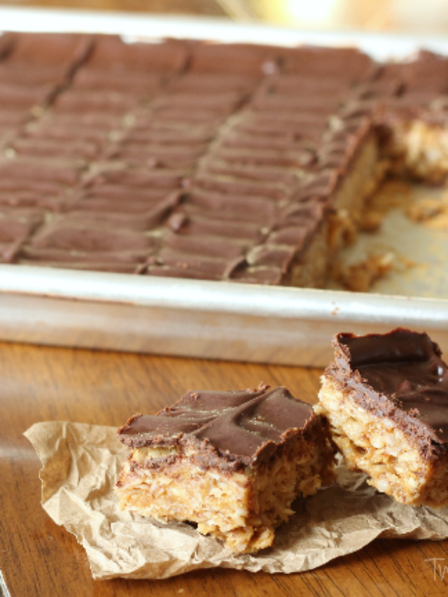 No-Bake Chocolate-Coconut Peanut Butter Bars Story