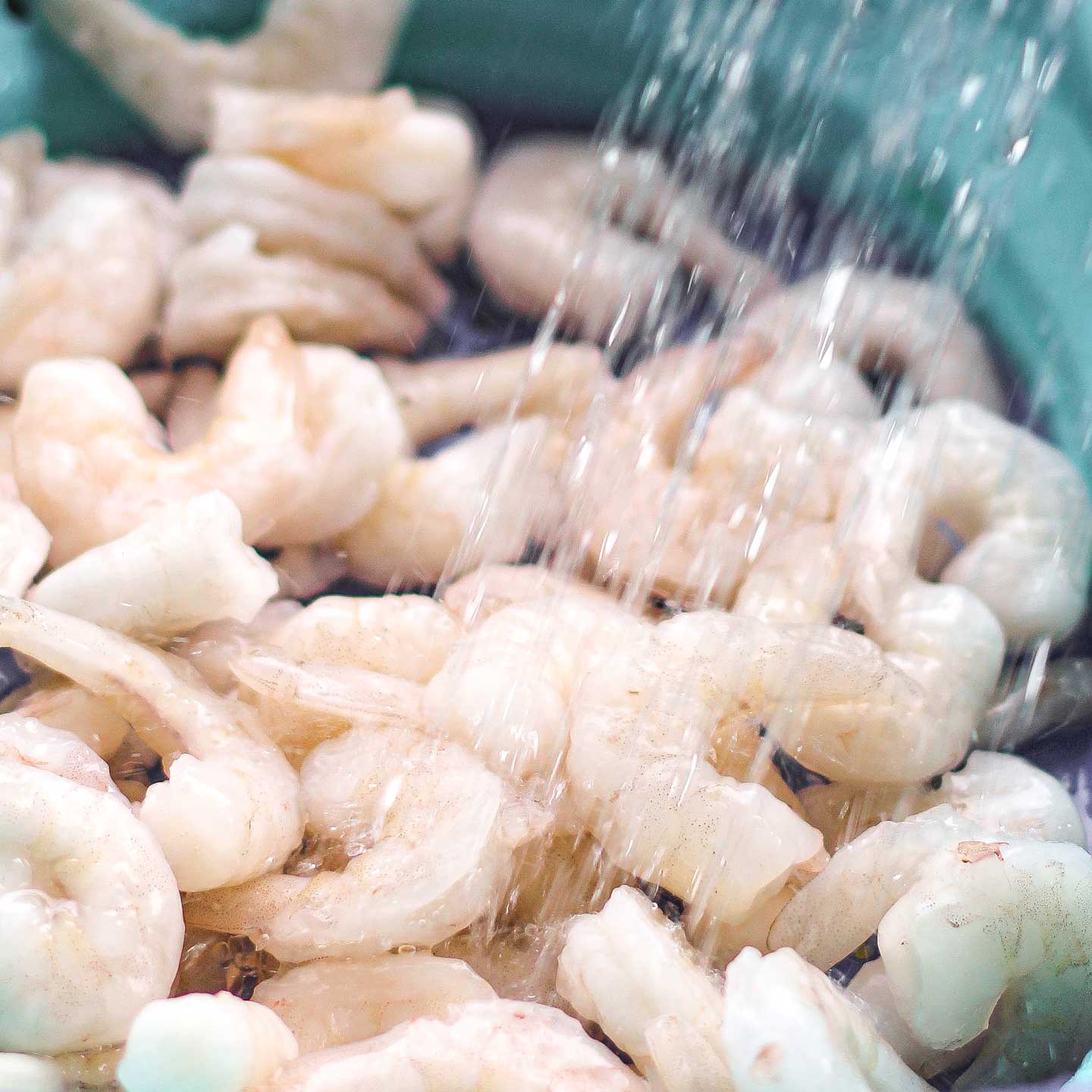 Frozen shrimp in a blue bowl, with water pouring onto them.