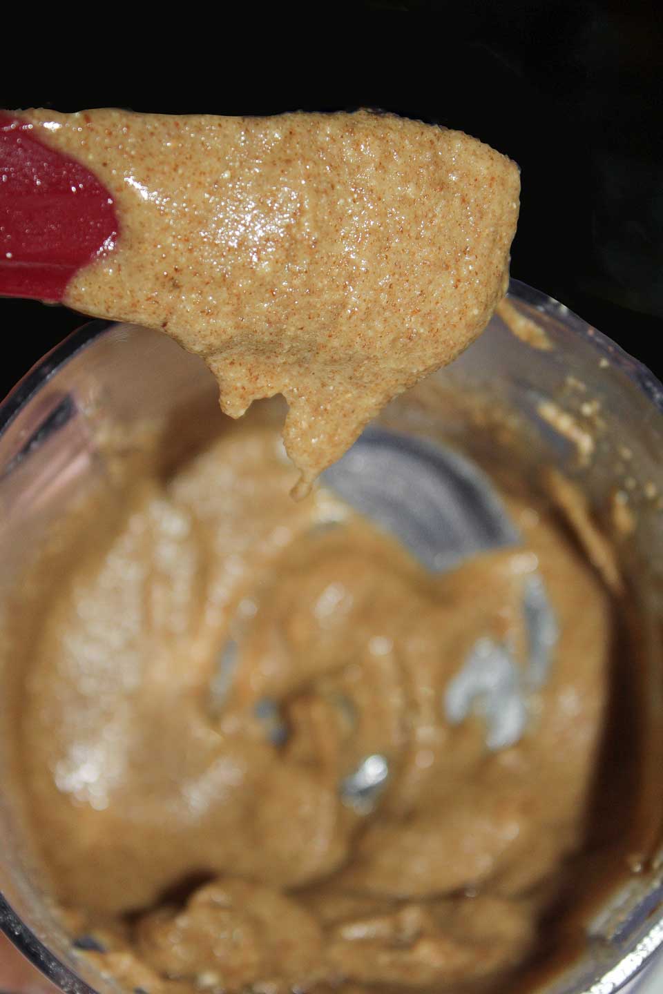 Closeup of a red scraper that's been dipped down into the bowl of processed pecan butter.