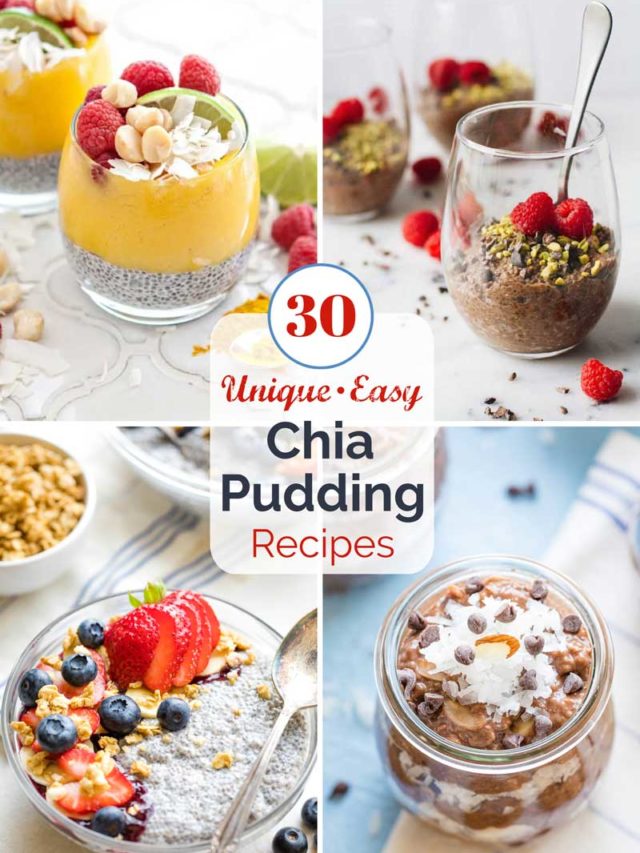 Chia Pudding Recipes