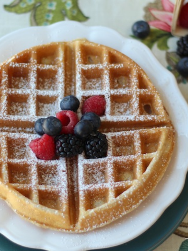 Mom’s Best Whole Wheat Waffles Story