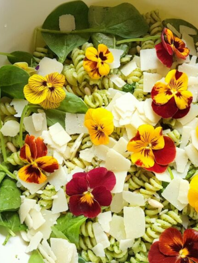 31 Vegan Pasta Salads Cover Image