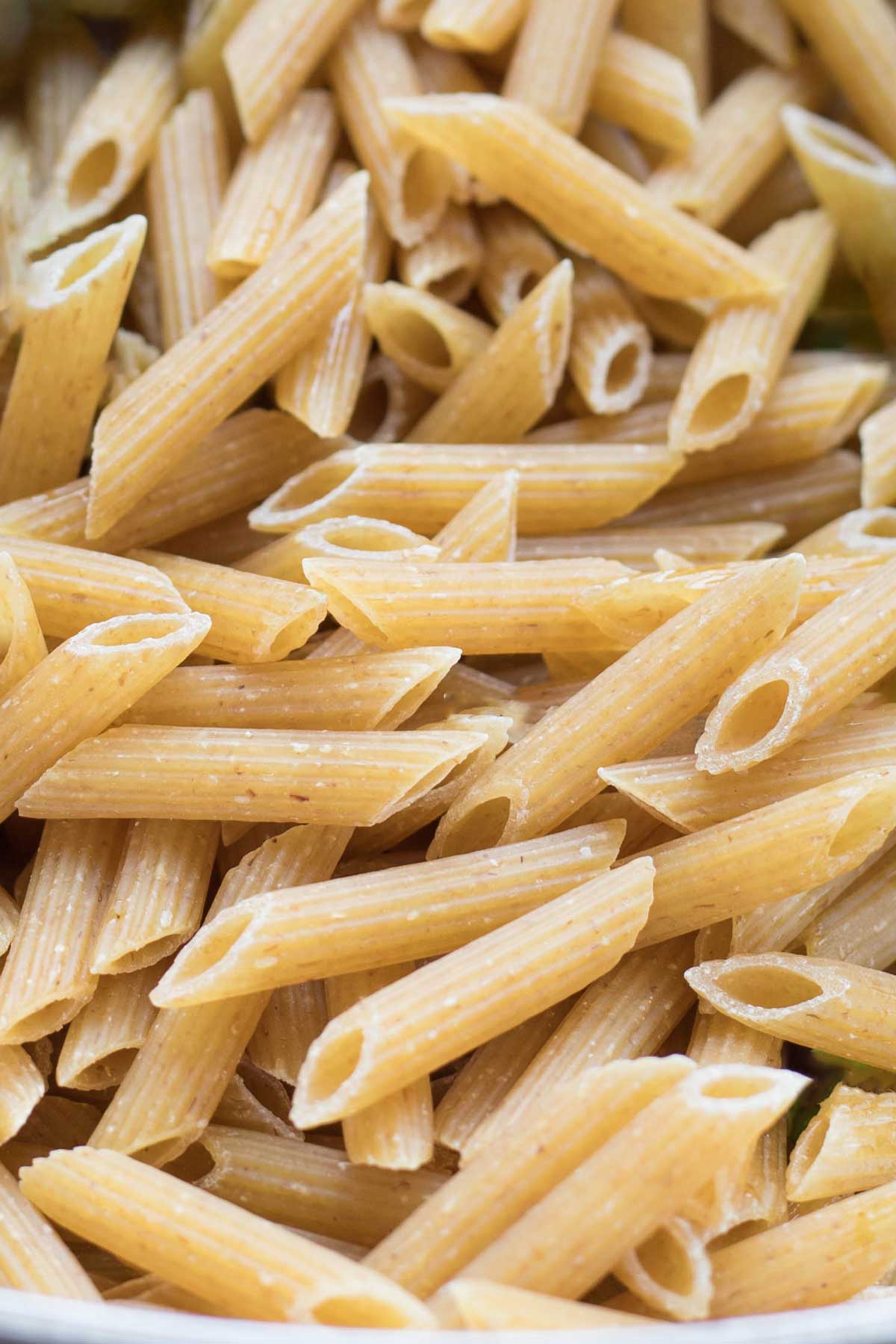 Closeup of uncooked, ridged whole wheat penne pasta noodles.