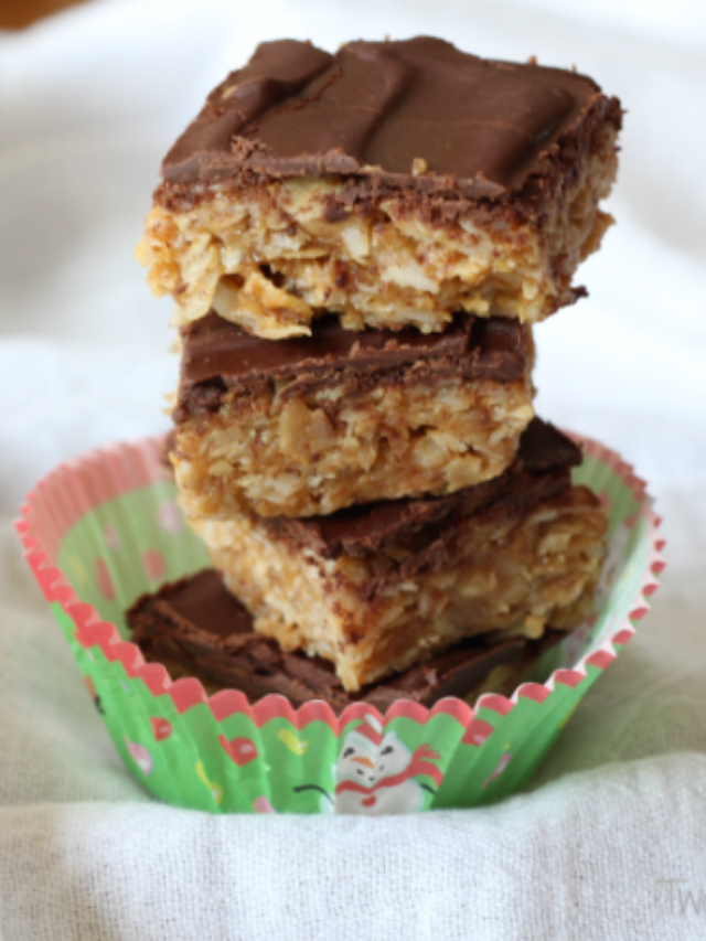 No-Bake Chocolate-Coconut Peanut Butter Bars Story