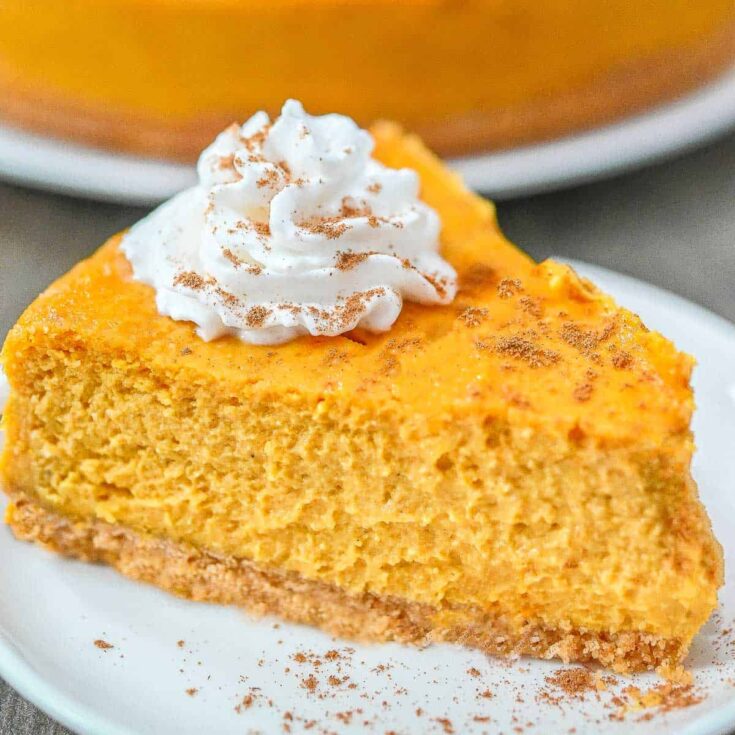 Closeup of one slice on a white plate, topped with vegan whipped cream and sprinkled with cinnamon.