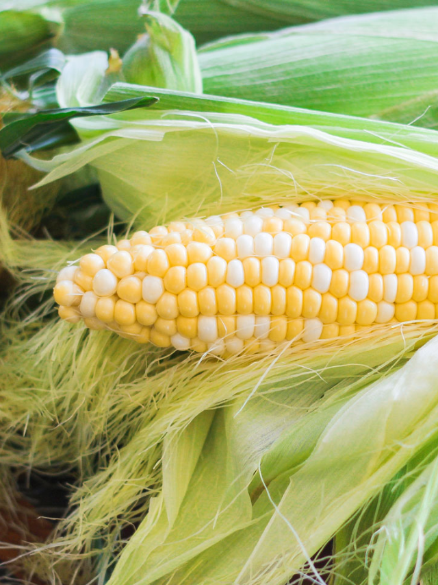 How to Cook Corn on the Grill Story