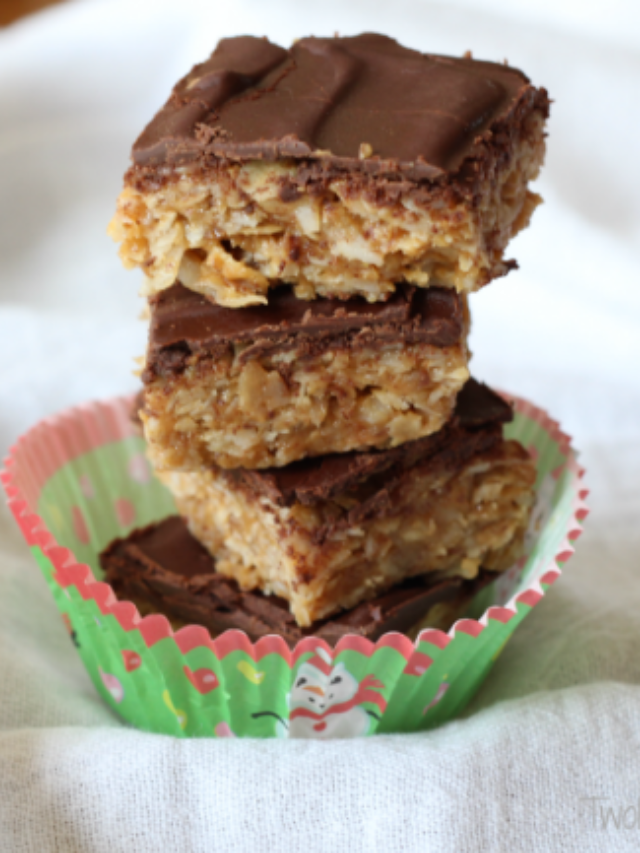 Easy No-Bake Chocolate-Coconut Peanut Butter Bars Story